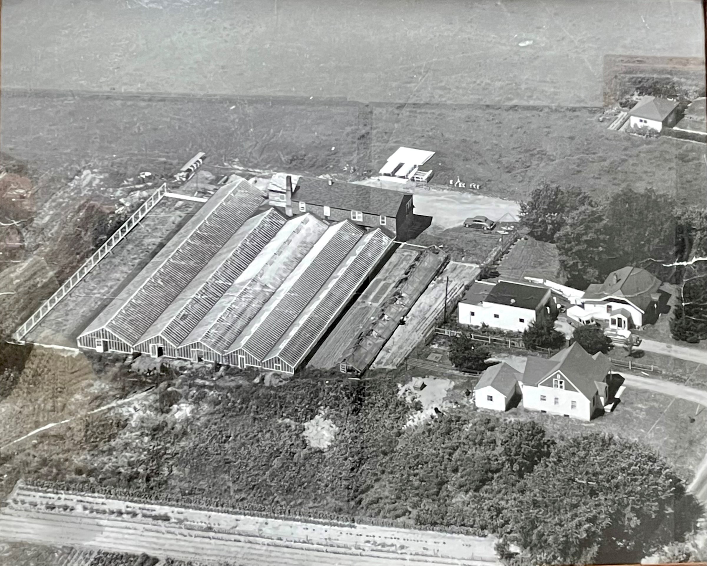 history pic of Grand Rapids Greenhouse