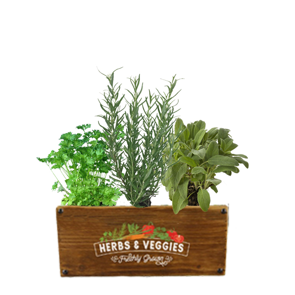 herb in crate