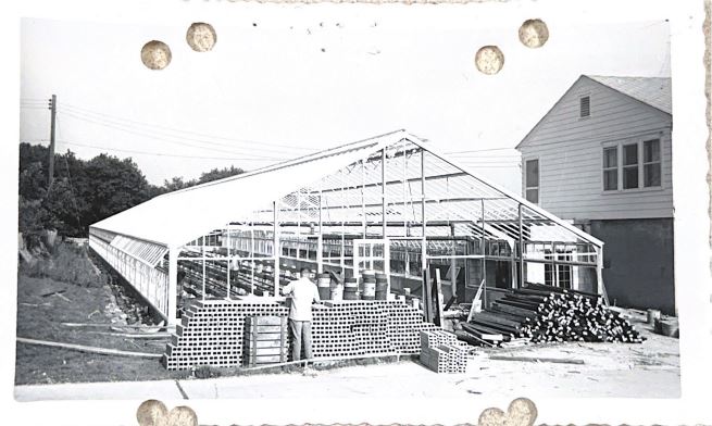 history photo of greenhouse being built