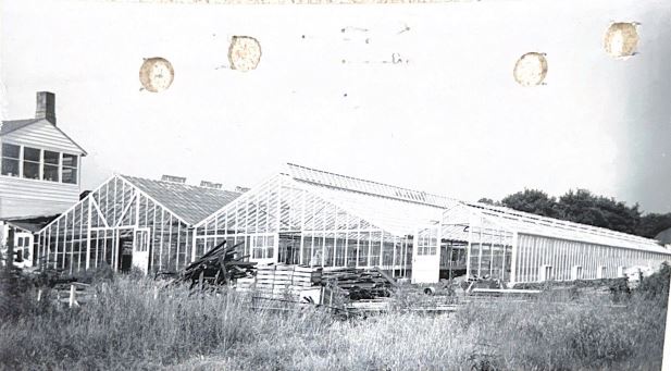 old history image of building the greenhouse.