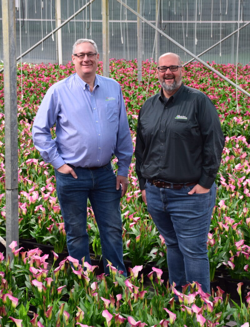 About Us Andy Mast Greenhouses