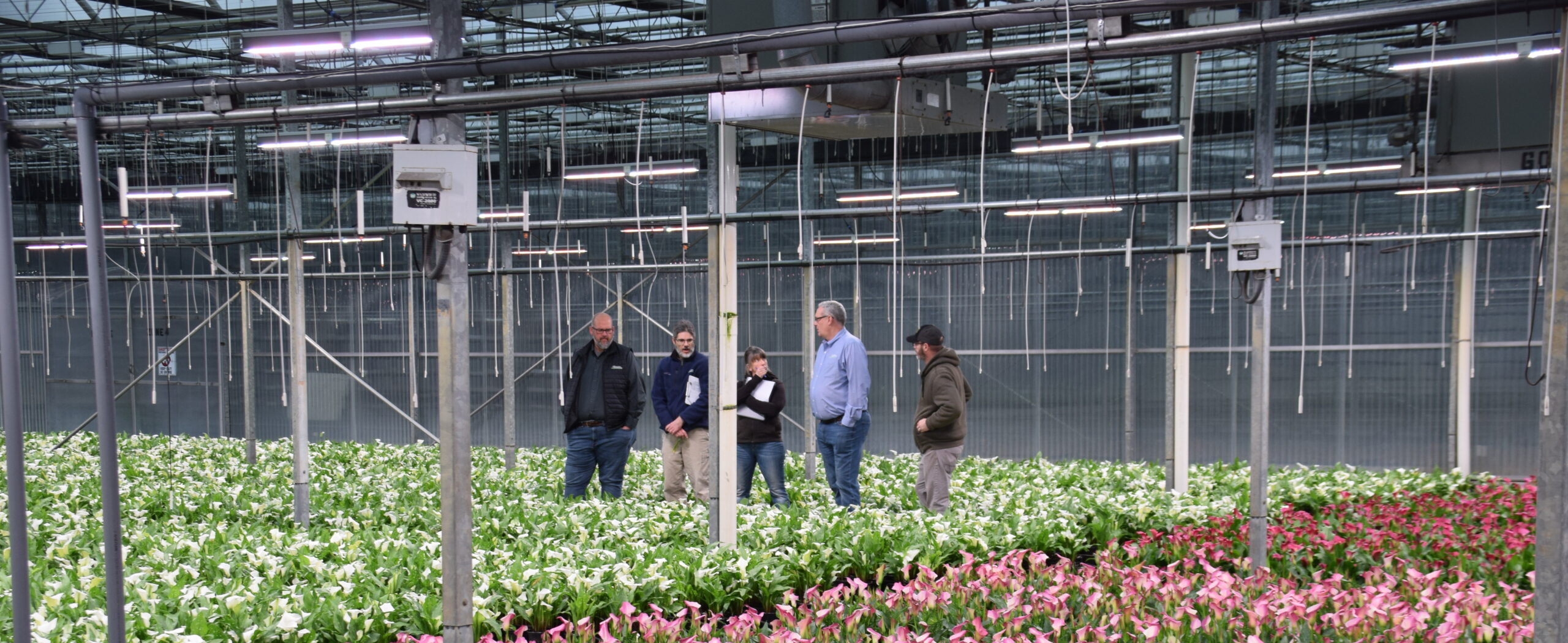 Careers Andy Mast Greenhouses