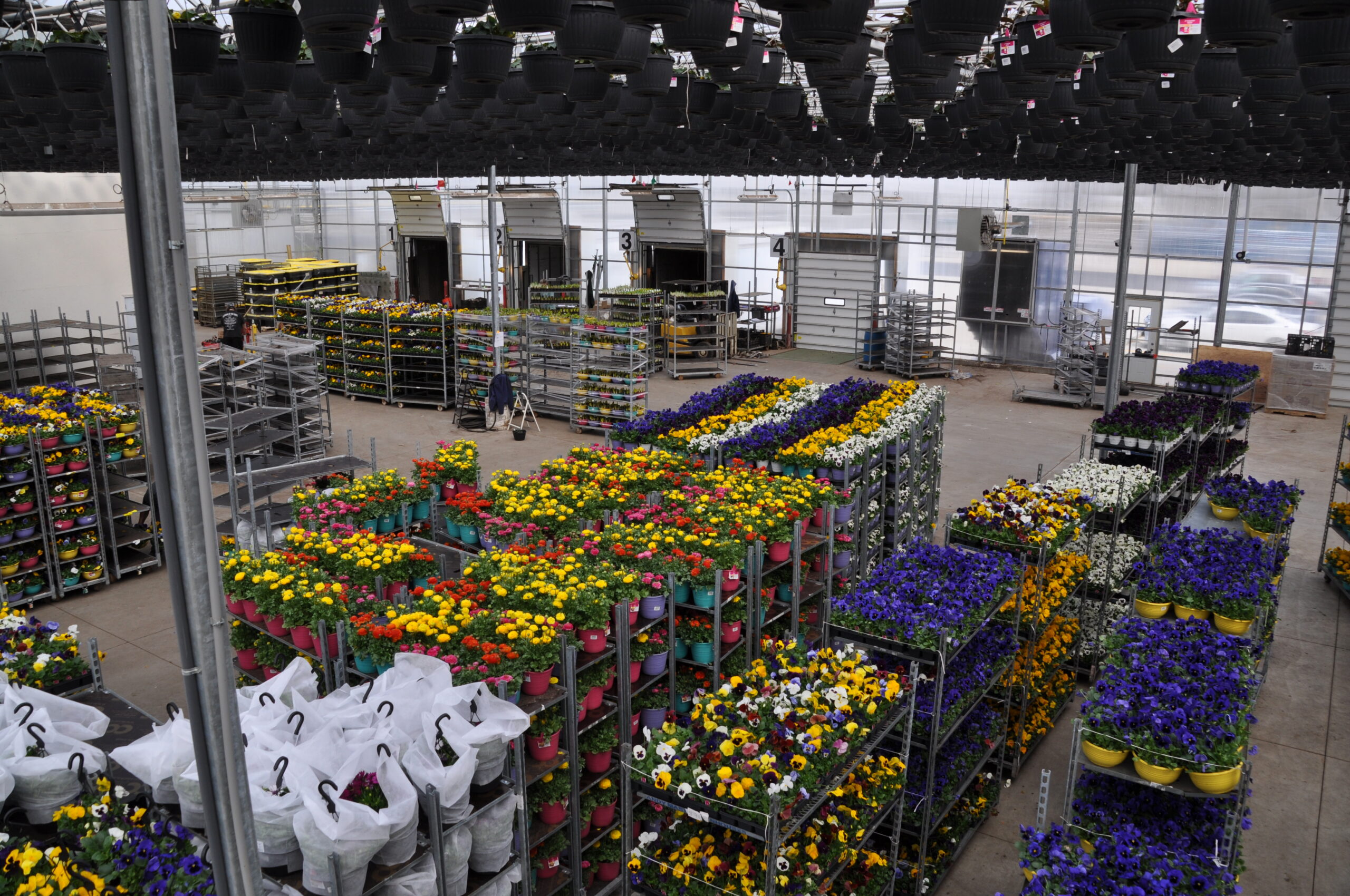 Sales Inquiry Andy Mast Greenhouses